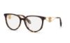 Picture of Roberto Cavalli Eyeglasses VRC148
