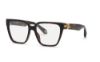 Picture of Roberto Cavalli Eyeglasses VRC145M