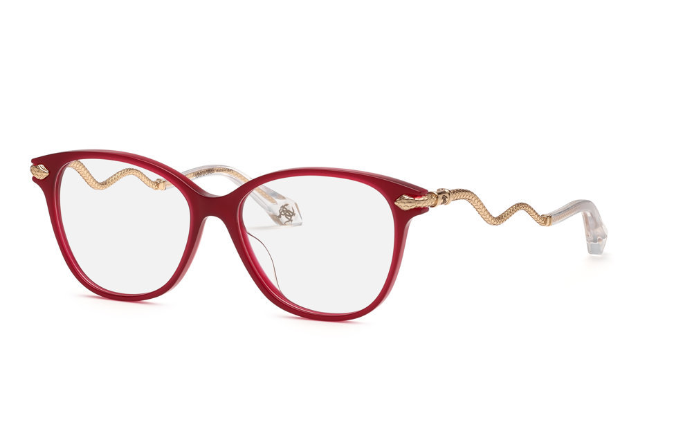 Picture of Roberto Cavalli Eyeglasses VRC121