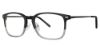 Picture of Stetson Eyeglasses Sf 3006
