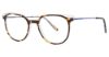 Picture of Via Spiga Eyeglasses Renata