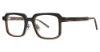 Picture of Randy Jackson Eyeglasses X160