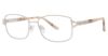 Picture of Sophia Loren Eyeglasses M335