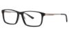 Picture of Stetson Eyeglasses Sf 3007