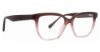 Picture of Trina Turk Eyeglasses Vianne