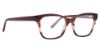 Picture of Xoxo Eyeglasses Augusta