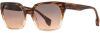 Picture of State Optical Sunglasses Milwaukee Sun