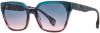 Picture of State Optical Sunglasses Milwaukee Sun