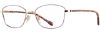 Picture of Alan J Eyeglasses AJAN J 522