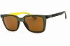 Picture of Hugo Boss Sunglasses 1574/S