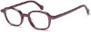 Picture of MENIZZI Eyeglasses M4054