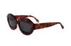 Picture of Marni Sunglasses IK KIL CEN HAVANA DIVERSA