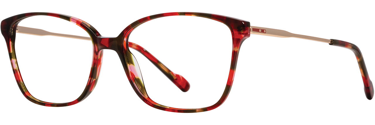 Picture of Scott Harris Eyeglasses SH-X 026