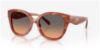 Picture of Coach Sunglasses HC8438U