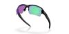 Picture of Oakley Sunglasses FLAK 2.0 XXL