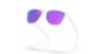 Picture of Oakley Sunglasses FROGSKINS S