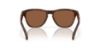 Picture of Oakley Sunglasses FROGSKINS S
