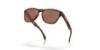 Picture of Oakley Sunglasses FROGSKINS S