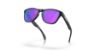 Picture of Oakley Sunglasses FROGSKINS S