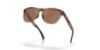 Picture of Oakley Sunglasses FROGSKINS RANGE XL