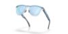 Picture of Oakley Sunglasses FROGSKINS RANGE XL