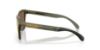 Picture of Oakley Sunglasses FROGSKINS RANGE XL