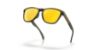 Picture of Oakley Sunglasses FROGSKINS RANGE XL