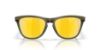 Picture of Oakley Sunglasses FROGSKINS RANGE XL