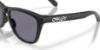 Picture of Oakley Sunglasses FROGSKINS RANGE XL