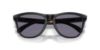 Picture of Oakley Sunglasses FROGSKINS RANGE XL