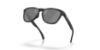 Picture of Oakley Sunglasses FROGSKINS RANGE XL