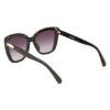 Picture of Longchamp Sunglasses LO692S N