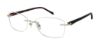 Picture of Laura Ashley Eyeglasses MAIZE