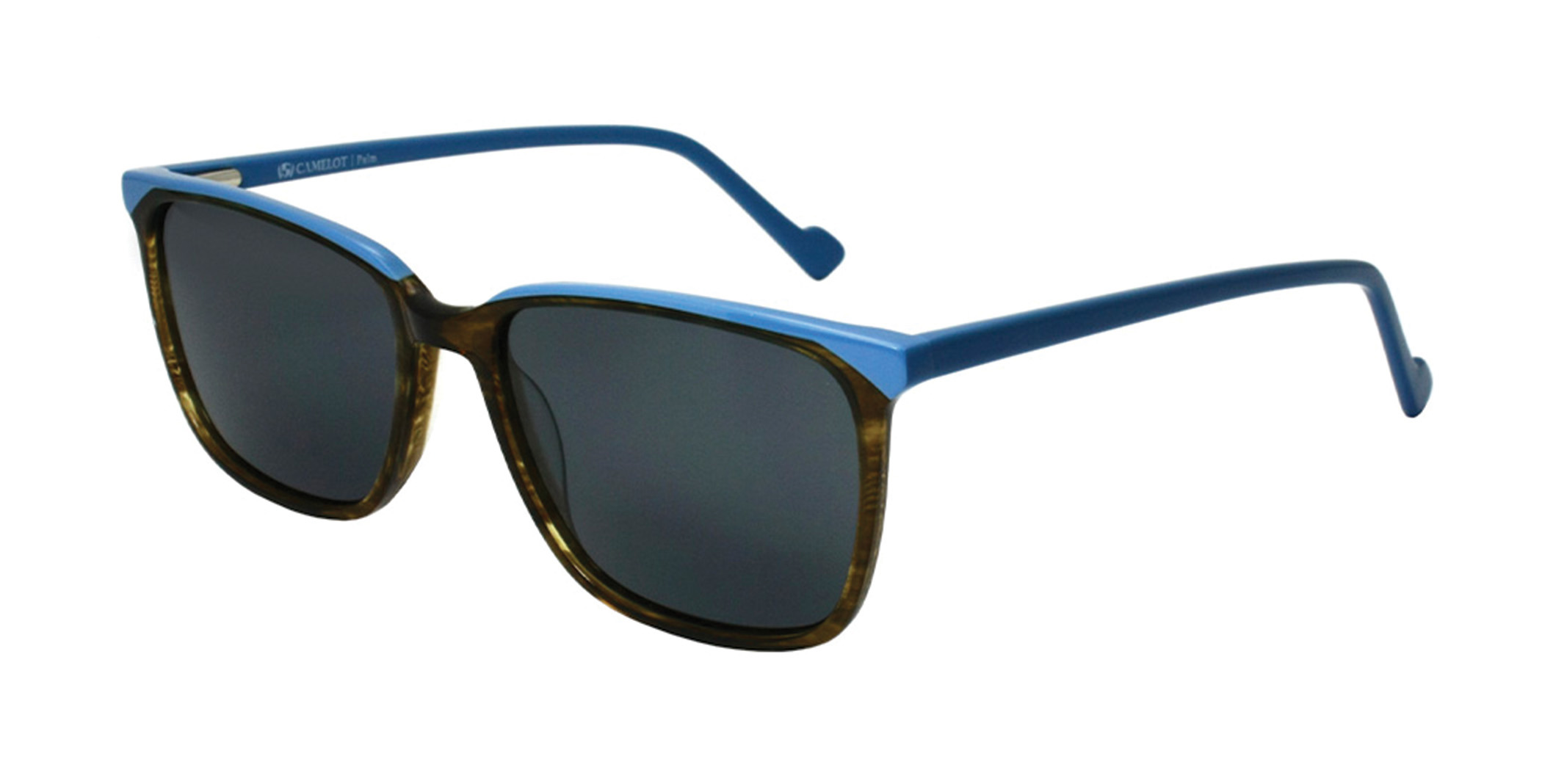 Picture of Camelot Eyeglasses Palm