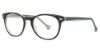 Picture of Lisa Loeb Eyeglasses Gold Dust