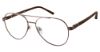 Picture of Camelot Eyeglasses Walker