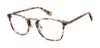 Picture of Glen Lane Eyeglasses Drayton