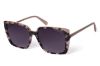 Picture of Radley London Sunglasses RDS-CAGGIE