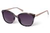 Picture of Radley London Sunglasses RDS-MOIRA