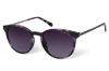 Picture of Radley London Sunglasses RDS-HILARY