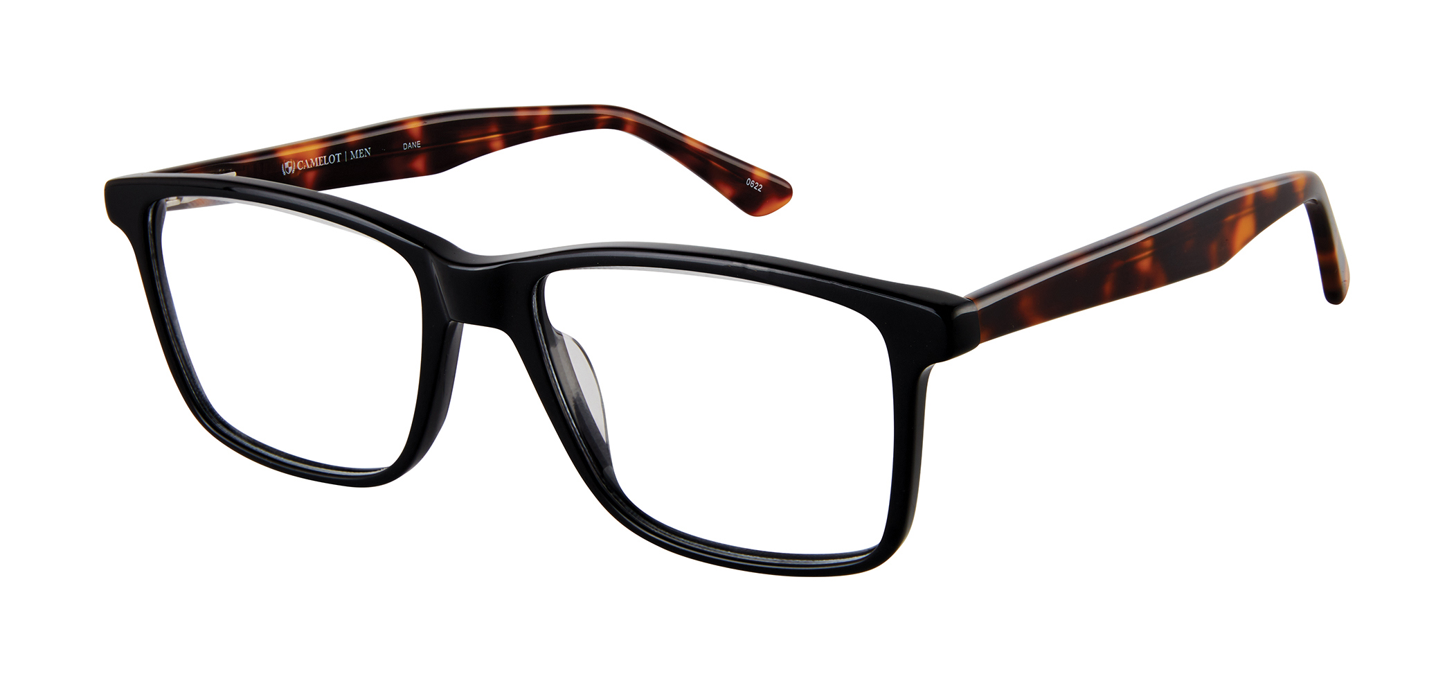 Picture of Camelot Eyeglasses Dane