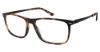 Picture of Camelot Eyeglasses Doron