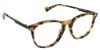 Picture of KINGSLEY Eyeglasses K1007
