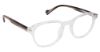 Picture of KINGSLEY Eyeglasses K1002