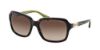 Picture of Coach Sunglasses HC8104