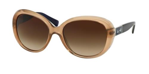 Picture of Coach Sunglasses HC8120