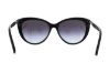 Picture of Michael Kors Sunglasses MK2009 Gstaad