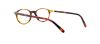 Picture of Polo Eyeglasses PH2047