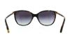 Picture of Ralph Sunglasses RA5160