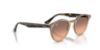 Picture of Ray Ban Sunglasses RB2180